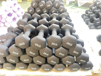 Neoprene Dumbbell Pair – Non-Slip Grip, Cast Iron Core – Gym Fitness Weights